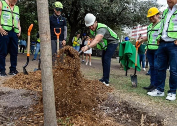 Reforestación Extrema: Desvío De Recursos Y Cifras Infladas En Nuevo León