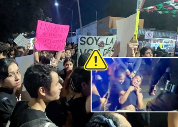 Maltrato Animal - Alcaldes Regios