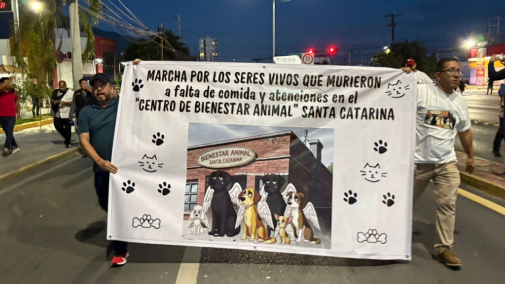 Rechazan Tocar En Santa Catarina Tras Denuncias De Maltrato Animal. El Caso De Los 70 Perros Desató Protestas Y Clausura Del Centro Animal En Santa Catarina.