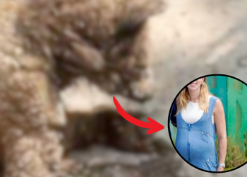 Mariana-en-la-pastora-osa-mina-maltrato-animal - Alcaldes Regios