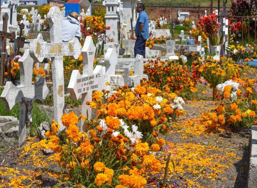 Día De Muertos En Monterrey - Alcaldes Regios Día De Muertos En Monterrey, Tradiciones Mexicanas, Panteón Dolores, Música En Vivo, Homenaje Familiar