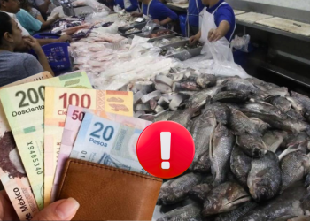 Comida En Semana Santa Sube Un 25% - Alcaldes Regios