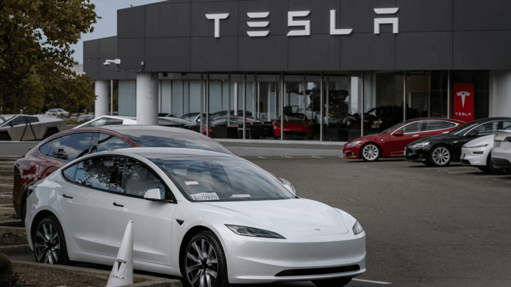 Porque Tesla No Invirtió En Nuevo León - Alcaldes Regios